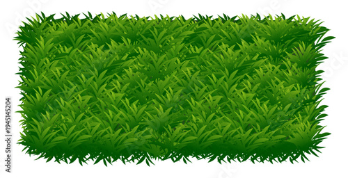Green grass texture natural lawn banner background vector
