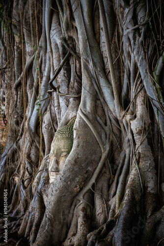 The ancient Buddha head embedded in tree roots at Wat Phra Mahathat, Ayutthaya Historical Park, Thailand, is an original and popular tourist attraction.