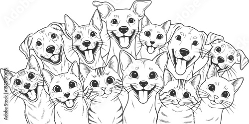 Dogs and cats looking happily at the camera with wide eyes
