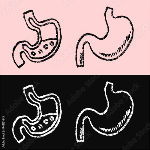 Set editable chalk drawing stomach organ vector for medical biology classes. Ideal for symbolizing vintage anatomy studies and chalkboard health lessons.