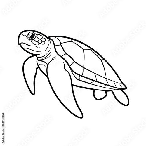 Outline of a sea turtle swimming, with detailed shell patterns and flippers