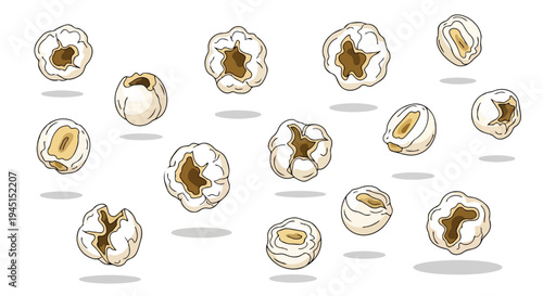 Set of Hand Drawn Popcorn Kernels Isolated on White Background