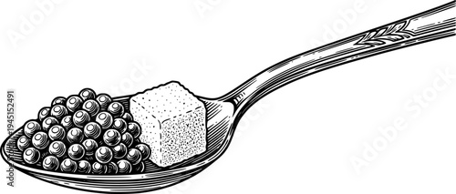 Engraved spoon holding caviar and a cube of sugar. Vector hand drawn illustration
