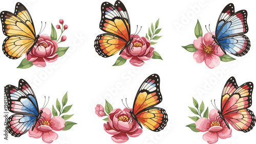 Vector Illustration of Butterflies and Pink Flowers: Peonies and Colorful Butterflies for Spring and Nature Designs