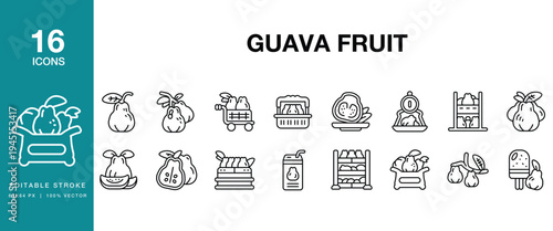 Guava Fruit icon set. Includes guava, fruit, tropical, green, pink, fresh and More. Editable Stroke Icon Collection.