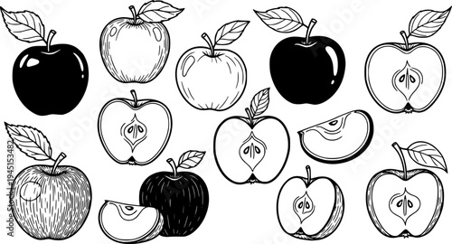 Various hand drawn apple fruit illustrations including whole and sliced apples with stems and leaves 
