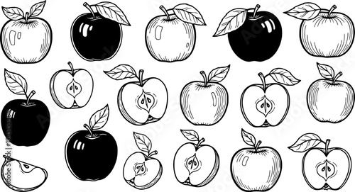 Various hand drawn apple fruit illustrations including whole and sliced apples with stems and leaves 