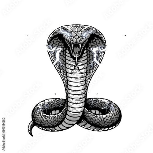 A black and white illustration of a cobra snake.