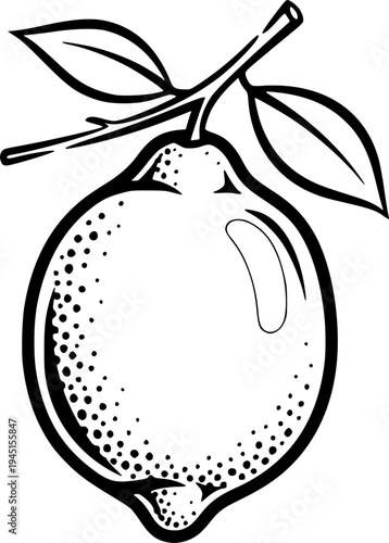 Fresh lemon hanging from a green tree branch
