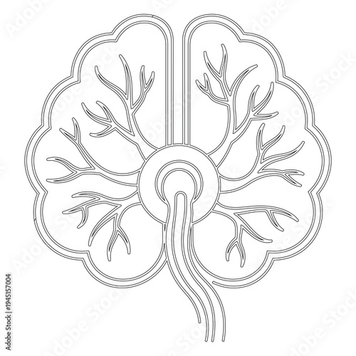Minimal line of a kidney with detailed vascular structure and organ outline in black lines on white background