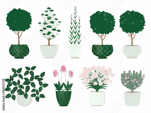 Stylized botanical illustrations of trees shrubs and flowering plants