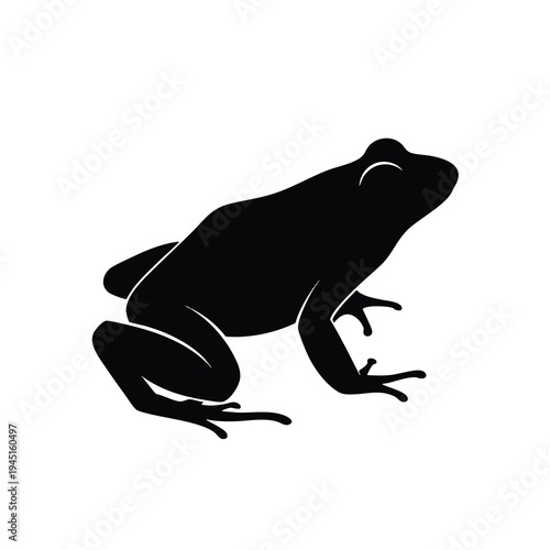 Black silhouette of a frog with detailed limbs and wide-open eyes against a white background