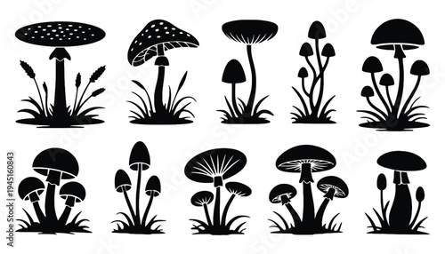 Mushroom silhouette vector icons set for design and illustration purposes