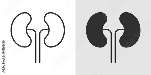 Nephrology Icon representing kidney health, renal care, diagnosis and treatment of kidney diseases, dialysis, and medical support for urinary system wellness.