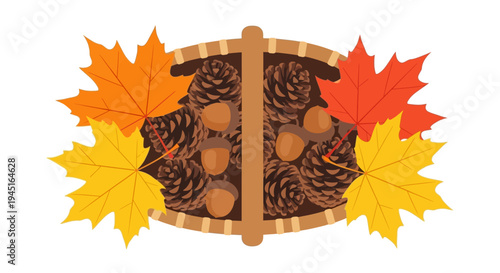 Top View of Wicker Basket with Acorns and Pine Cones, Surrounded by Vivid Autumn Leaves, Isolated White Background.