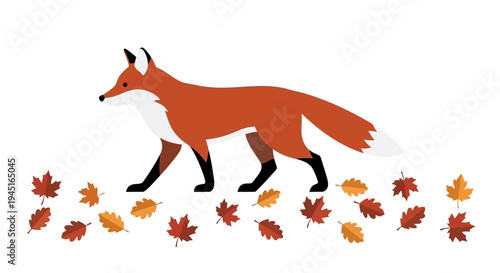 Charming Fox Strolling Amidst Vibrant Autumn Leaves, Isolated White Background