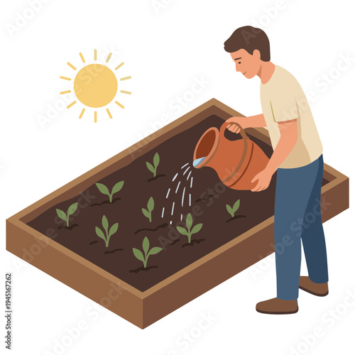 Man watering plants in garden bed under sunny weather conditions