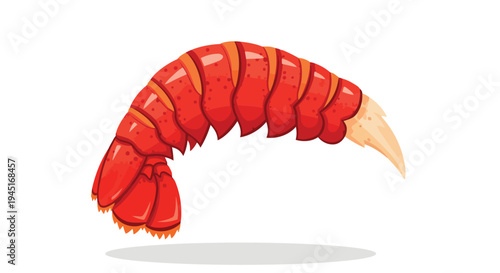 Fresh Raw Lobster Tail Isolated on White Background