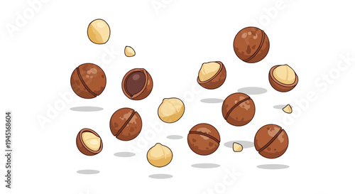 Macadamia Nuts Falling Isolated on White Background