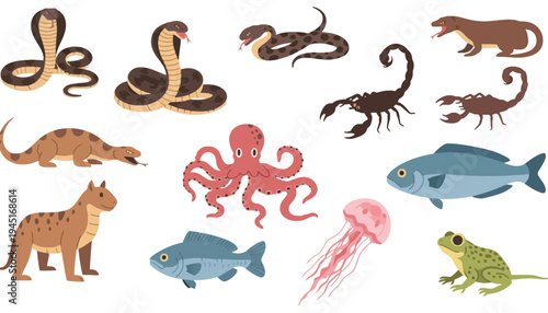 Animal icons featuring various species in colorful illustration style