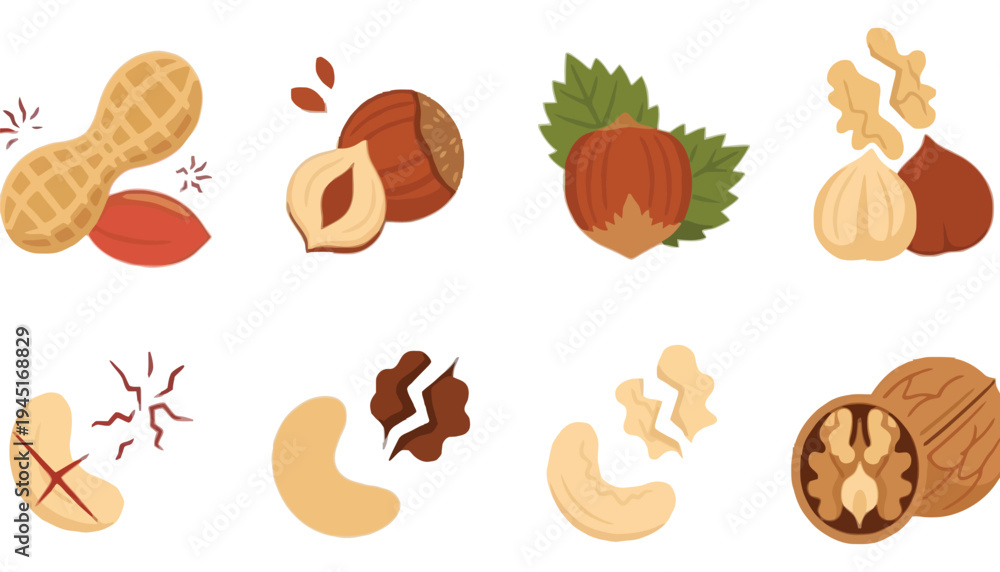 Fototapeta premium A collection of nut icons including peanuts and walnuts illustrations