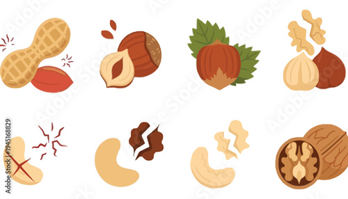 A collection of nut icons including peanuts and walnuts illustrations