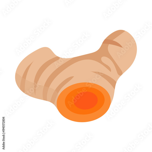 Ginger Root Illustration