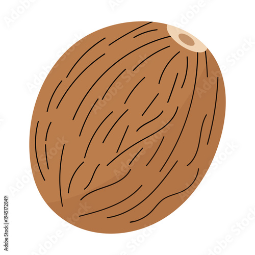 Whole Nutmeg Spice Isolated