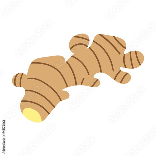 Ginger Root Illustration