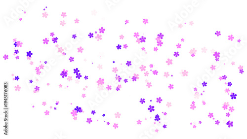 Scattered Cherry Blossoms transparent Background