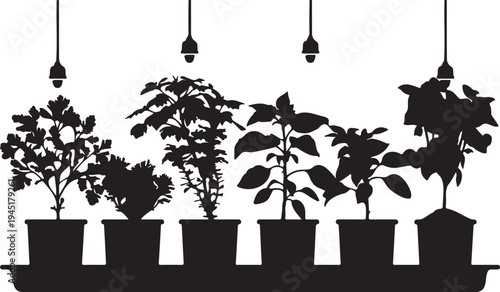Silhouettes of various plants in pots under artificial lights