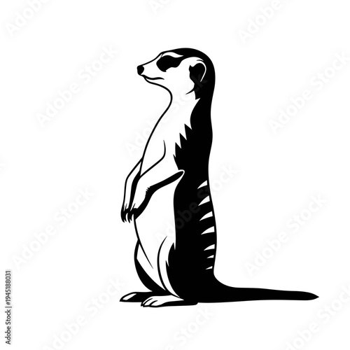 Black and white illustration of a standing meerkat on a white background.