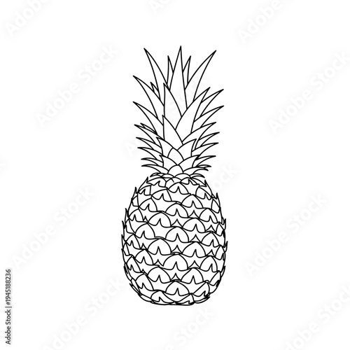 Black and white illustration of a fresh pineapple fruit isolated on white background.