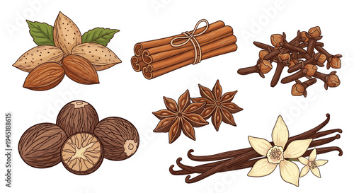 Beautifully illustrated set of aromatic baking spices including cinnamon sticks cloves star anise vanilla beans and almonds.
