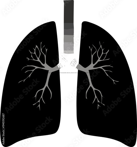 Stylized black human lungs with grey bronchial tree and trachea on a white background.