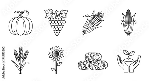 Diverse collection of simple black line agricultural icons representing autumn harvest crops, tools, and traditional farm life symbols.