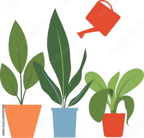 Watering Potted Green Houseplants with Watering Can for Home Gardening Indoor Hobby and Botanical Care Vector Illustration