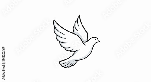 A simple white dove in flight with wings spread