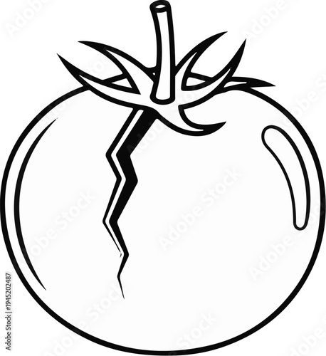 A stylized illustration of a ripe tomato with a crack down its side