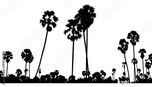 Palm tree silhouettes against a white background at sunset