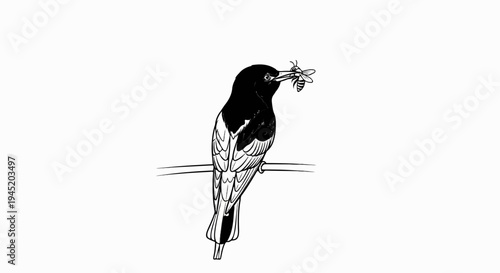 Black and white illustration of a bird with a bee in its beak perched on a wire