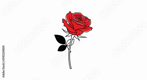 A solitary red rose with two black leaves and a thin stem