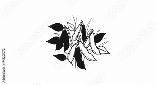 Black and white illustration of soybean pods and leaves on a white background