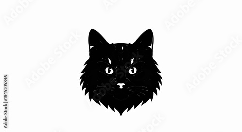 Black cat face with bright eyes and whiskers, isolated on white
