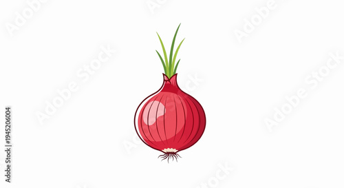 A single red onion with green sprouts and visible roots on a white background