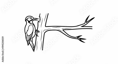 Black and white line drawing of a woodpecker clinging to a tree branch