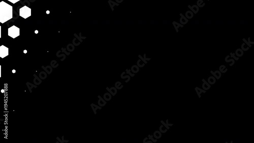 Modern Hexagon Dynamic Transition on White and Black Background. 4K