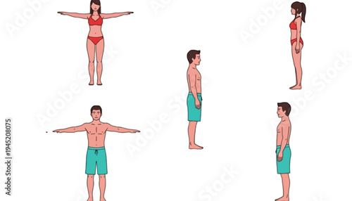 Human body illustration with various male and female poses and views