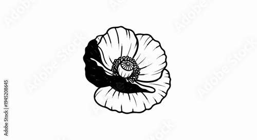 Black and white sketch of a poppy flower on a white background