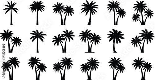 Black palm tree silhouette collection set including tropical coconut trees and exotic plant icons isolated on white background for summer.